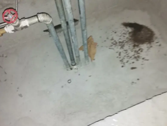 攀枝花市卫生间测漏水价格明细
